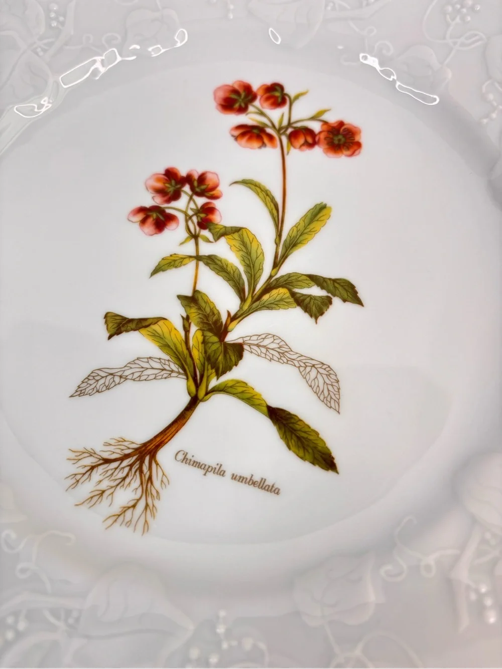 Dansk Ivy Embossed White Porcelain Flower Botanical Luncheon Plates France Set 4